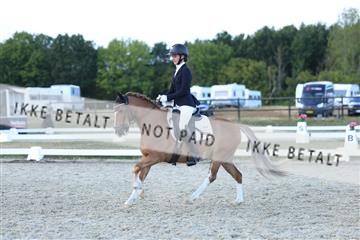 181894_mtp_05_R62_5415.JPG