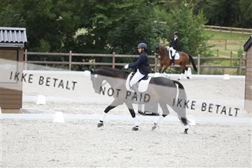 166281_mtp_01_3M5A0687.JPG