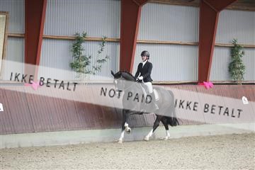 173883_mtp_01_3M5A1258.JPG