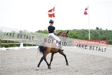 181449_kbb_02_6II0848.JPG