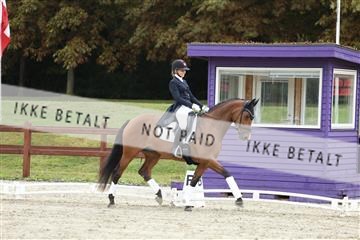 181923_mtp_03_R62_7927.JPG