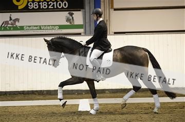 141472_abo_01__AB15369.JPG