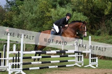152528_nn_01_IMG_3339.JPG