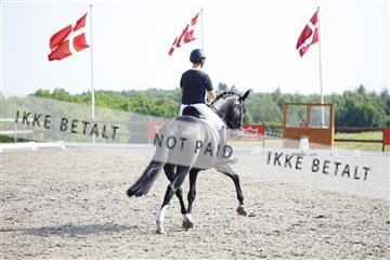 181449_kbb_02_6II1367.JPG