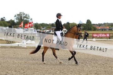 181894_mtp_03_R62_2572.JPG