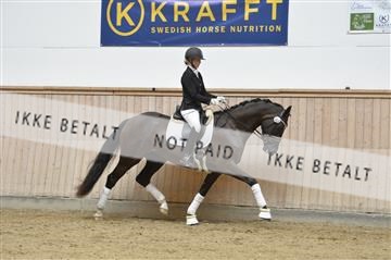160111_nn_01__ESK2018.JPG