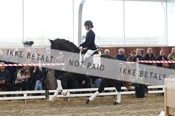 174363_kbb_01_R6II7978.JPG