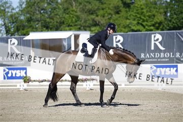 181449_kbb_01_6II9668.JPG