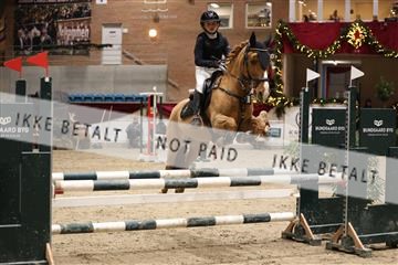 175934_avh_02_6857.JPG