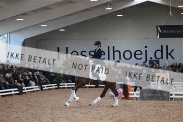 179022_kbb_01_R6II2571.JPG
