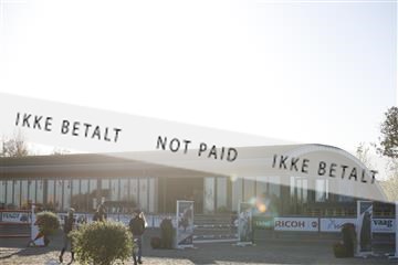 181332_kbb_01_6II3211.JPG