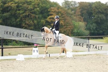 181894_mtp_04_R62_3732.JPG