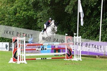 181805_mlm_01_R62_5884.JPG