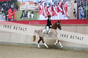181887_mtp_04_R62_8202.JPG