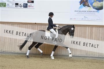 160111_nn_01__ESK1806.JPG