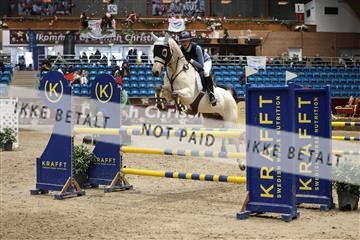 175934_avh_02_7461.JPG