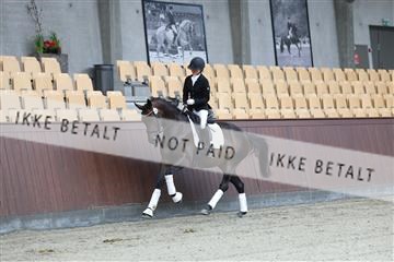 181852_mtp_03_R62_2098.JPG