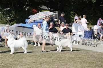 181848_kar_01__62_1902.JPG
