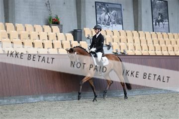 181852_mtp_01_R62_1457.JPG