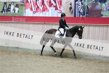181887_mtp_04_R62_8531.JPG