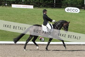 135676_sg_03_IMG_9829.JPG