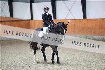 175681_avh_01_R62_0377.JPG