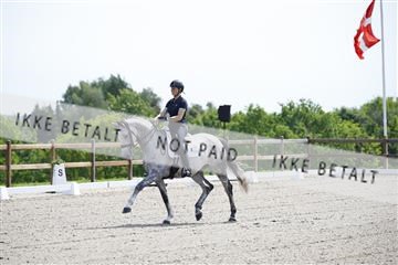 181449_kbb_02_6II0729.JPG