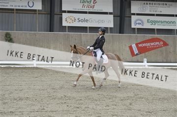 167169_kbb_1__KBB3639.JPG