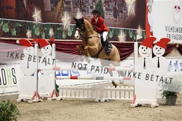 175934_avh_02_7239.JPG