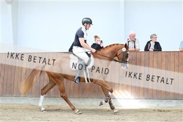 181755_tbj_01R62_2547.JPG