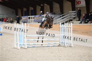 175757_avh_01_CD4A0472.JPG