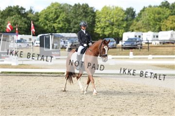 181894_mtp_05_R62_4457.JPG