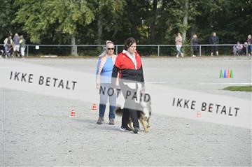 172697_bkn_01__D044912.JPG