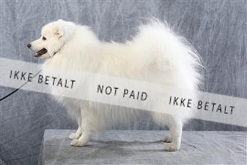 129608_le_ 01_0817.JPG