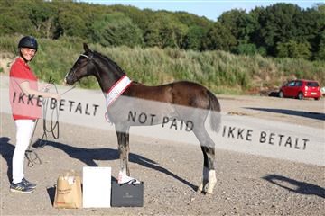 181756_mtp_04_R62_3677.JPG