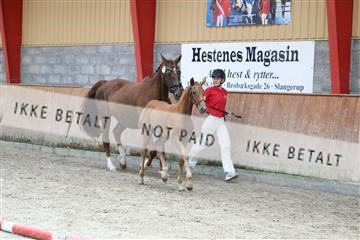 181868_mtp_03_R62_6071.JPG