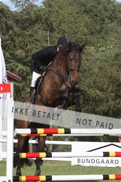 5925_ma_04_IMG_0469.JPG