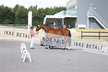 181755_tbj_01R62_2395.JPG