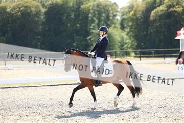 181894_mtp_02_R62_1841.JPG