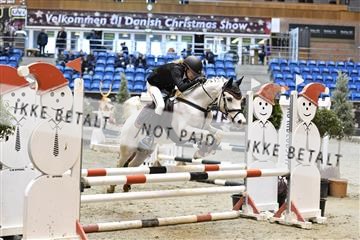 161006_abo_01__D050661.JPG