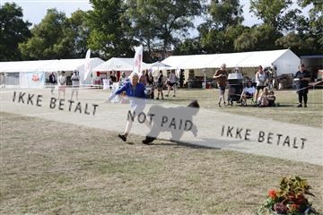 181848_kar_01__62_2747.JPG