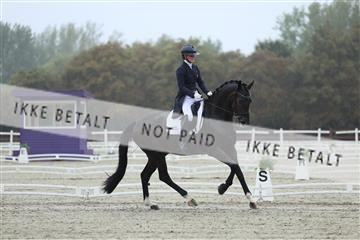 181923_mtp_03_R62_7726.JPG