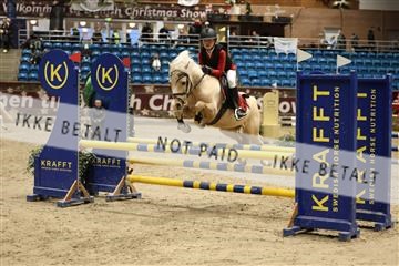 175934_avh_02_6924.JPG
