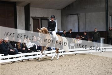179104_avh_01_3145.JPG