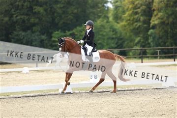 181894_mtp_02_R62_1227.JPG