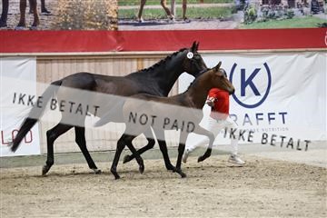 181957_mtp_08_R62_5681.JPG