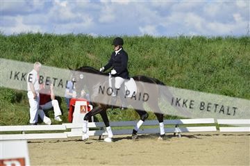 136195_abo_01__AB16455.JPG