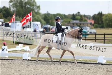 181894_mtp_02_R62_1675.JPG
