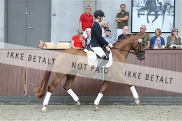 181852_mtp_04_R62_2912.JPG