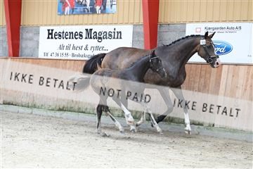 181868_mtp_03_R62_5640.JPG